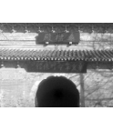 羰Ƶ֣רҳ